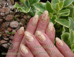  Gél Lakk - DN113 - Aranysárga reszelék - Zselé lakk