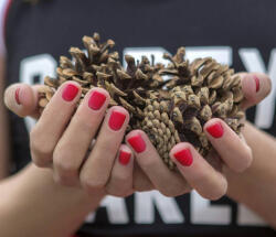  Gél Lakk - DN046 - Cabrio piros - Zselé lakk