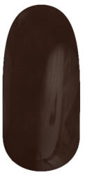  Gél Lakk - DN028 - Gyöngyház olajbarna - Zselé lakk