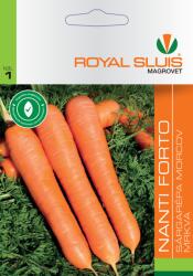 Royal Sluis Magrovet NANTI FORTO SÁRGARÉPA 4g VETŐMAG