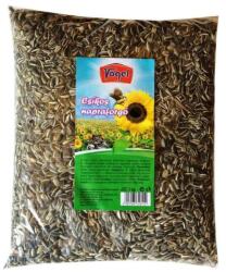 Kite Aprómag Kft Napraforgó csíkos 1 kg madáreleség