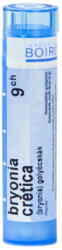  BRYONIA CRETICA CH9 golyócskák 4 G