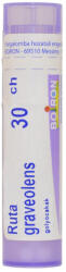  RUTA GRAVEOLENS C30 golyócskák 4 G