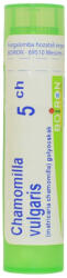  CHAMOMILLA VULGARIS C5 golyócskák 4 G