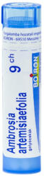  AMBROSIA ARTEMISIAEFOLIA C9 golyócskák 4 g