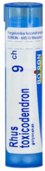  RHUS TOXICODENDRON C9 golyócskák 4 g