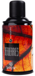 Spring Air légfrissítő 250 ml Berberries (ALSPAIR-0009)