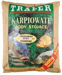 Traper Nada CARP FAMILY Traper 2, 5kg, aroma capsuna, pentru crap, caras si amur (Traper00266)