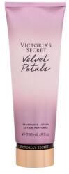 Victoria's Secret Velvet Petals illatosított testápoló 236 ml nőknek
