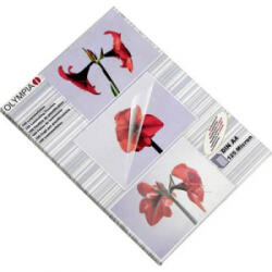 Olympia Lamináló fólia DIN A4 125 mikron 100 db (9176) - aqua