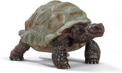 Schleich Wild Life Giant Tortoise - 14824 (14824) Figurina