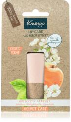 Kneipp Apricot & Marula ajakbalzsam 4.7 g