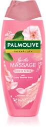 Palmolive Thermal Spa Gentle Massage tusfürdő gél a finom és sima bőrért 500 ml