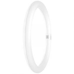 OSRAM LED EEK: F (A - G) G10q Gyűrű forma 18.3 W = 32 W Melegfehér (O x H) 300 mm x 300 mm 1 db (4099854042669) (4099854042669) - aqua