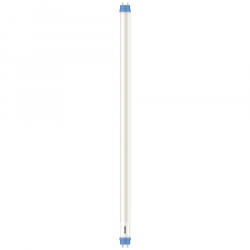 Philips G13 8W T8 LED fénycső hideg fehér (8720169204881)