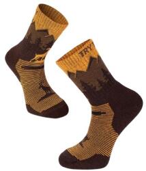Try To Fly Bak alpesi merinó gyapjú antibakteriális túra zokni, 43-46 EU, sárga (TF32-311-3)