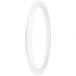 OSRAM LED EEK: E (A - G) G10q Gyűrű forma 24 W = 40 W Hidegfehér (O x H) 400 mm x 400 mm 1 db (4099854042744) (4099854042744)