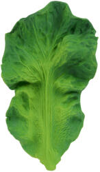 Oli&Carol természetes rágóka - Kendall, a kelkáposzta (L-KALE-UNIT)