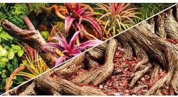  HOBBY Akvárium Háttér - Kétoldalas Dzsungel/Strangler Fig - 60x25cm