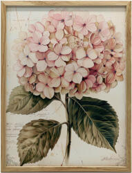  FAKERETES FALI PLAKÁT HIDRENSE ILLUSZTRÁCIÓ 70x100 CM