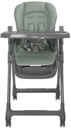 Lorelli Chef multifunkciós etetőszék, Green Leather - pepita