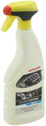 COMPASS motortisztító spray, 750 ml (am00234)