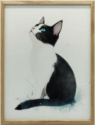  VÁSZON FESTMÉNY FALI CACSKÁHOZ FEHÉR KERETTEL 50x70 CM