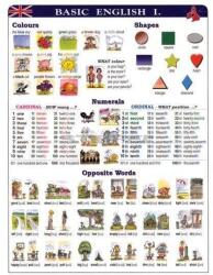 Stiefel Basic English I. DUO (255)