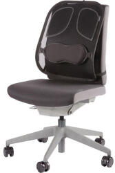 Fellowes 8029901 Professional Series Mesh háttámasz