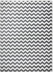  Szőnyeg ESMESA ZIGZAK szürke 160x220