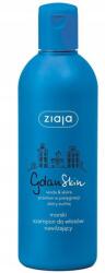 Ziaja GdanSkin Tengeri hajsampon 300 ml (5901887042938)