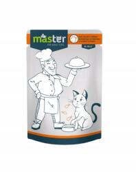 MASTER felnőtt macskáknak baromfival zselében 24x80g