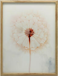  KERET FALI PLAKÁT ÉTERIKUS FINOM OF DANDELICE 70x100