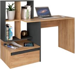 TEMPO KONDELA Számítógépasztal, tölgy craft arany/grafit, EROSS NEW - mindigbutor