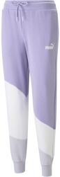PUMA Power Braphic Pants Tr Cl (67397825)
