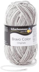 Schachenmayr Bravo Color 02110 Light Gray Denim Kötőfonal (9801421-02110-SCHACHENMAYR)