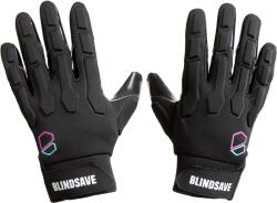 BLINDSAVE Legacy (bpgb06)