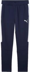 PUMA Teamevostripe Pants (65994806)