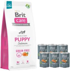 Brit BRIT CARE Dog Grain-free Puppy Salmon 12kg + WILD FARM Superfood Salmon (Lazac cukkinivel, édesburgonyával és gyógynövényekkel) 6x800g gabona nélküli kutyatáp