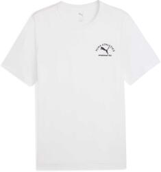 PUMA Classic Graphic Tee (68821902)