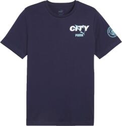 PUMA Manchester City Fc Ftblicons Tee (77438205)