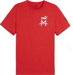 PUMA Ac Milan Ftblicons Tee (77402910)