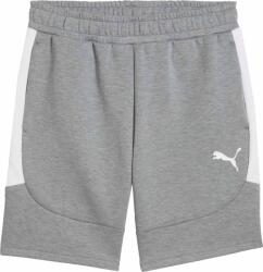 PUMA Teamevostripe Shorts (65995133)