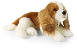 Rappa Plüss kutya Cavalier King Charles spániel 40 cm ECO-FRIENDLY (RP242944)
