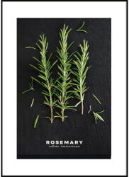 Styler Картина 50x70 cm Rosemary - Styler (OB-14443)