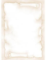 APLI Előnyomott papír, A4, 90 g, APLI, pergamen hatású (LCA11965) - fapadospatron