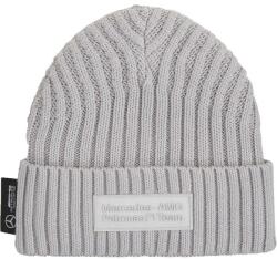 PUMA Mercedes-amg Petronas F1 Beanie