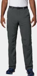 Columbia Silver Ridge Cargo Pant D