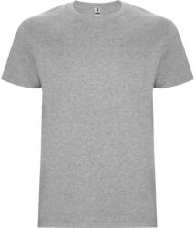 ROLY Férfi Stafford póló M szürke