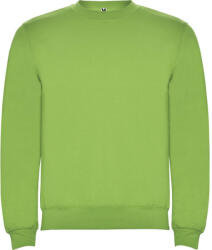 Roly Gyermekek/gyerekek Clasica Crew Neck pulóver 5 - 6 EVES zöld